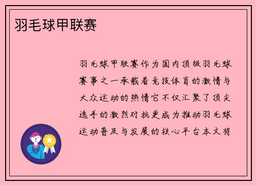 羽毛球甲联赛