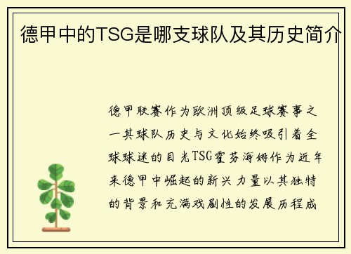 德甲中的TSG是哪支球队及其历史简介